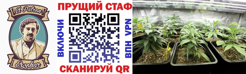 Купить наркотики Городище МАРИХУАНА Мефедрон Псилоцибиновые грибы Гашиш A-PVP АМФЕТАМИН