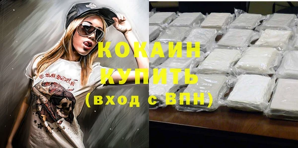 прущая мука Каменка