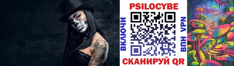 Галлюциногенные грибы Psilocybine cubensis  где найти   Городище 